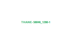 thane-58046_1280
